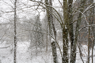 it’s finally snowing in rochester!