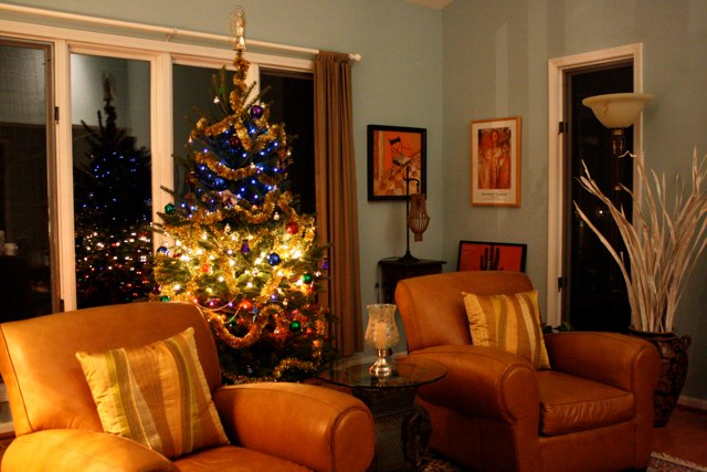 our christmas tree in 2012