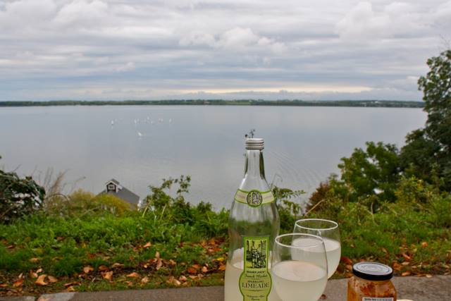 geneva lake picnic